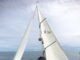 MILAGRO EN AUSTRALIA: CAYÓ DEL BARCO Y UTILIZÓ UN TRUCO QUE LE PERMITIÓ SOBREVIVIR 17 KILÓMETROS ENTRE TIBURONES