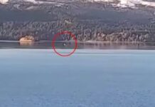 PÁNICO EN BARILOCHE: ASEGURAN QUE APARECIERON LOS “HIJOS” DE NAHUELITO