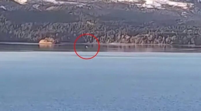 PÁNICO EN BARILOCHE: ASEGURAN QUE APARECIERON LOS “HIJOS” DE NAHUELITO