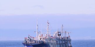 INSÓLITO: URUGUAY CAPTURA POTERO CHINO PESCANDO ILEGALMENTE CALAMAR ILLEX AGUAS AFUERA DEL RÍO DE LA PLATA