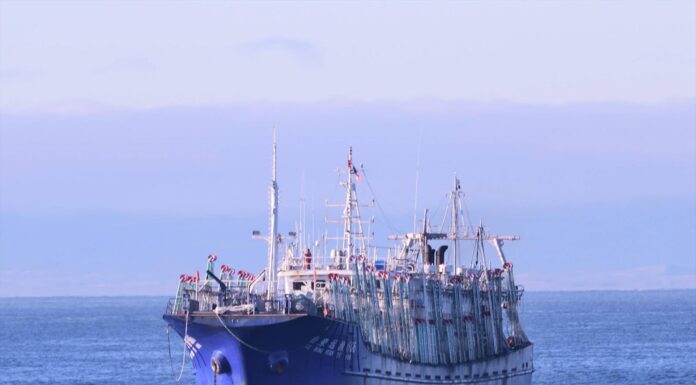 INSÓLITO: URUGUAY CAPTURA POTERO CHINO PESCANDO ILEGALMENTE CALAMAR ILLEX AGUAS AFUERA DEL RÍO DE LA PLATA