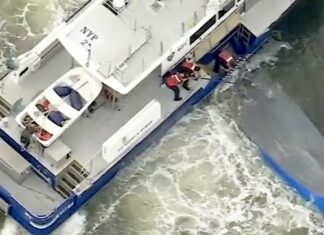 TRAGEDIA EN EL RÍO HUDSON DE NUEVA YORK: UNA LANCHA VOLCÓ Y MURIERON DOS PERSONAS