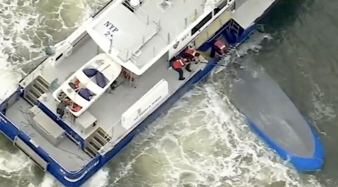 TRAGEDIA EN EL RÍO HUDSON DE NUEVA YORK: UNA LANCHA VOLCÓ Y MURIERON DOS PERSONAS