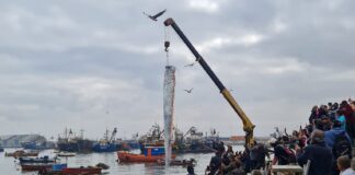 CAPTURAN UN PEZ REMO, LA EXTRAÑA CRIATURA QUE “ANUNCIA TERREMOTOS Y OTRAS CATÁSTROFES”