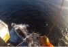 EMERGENCIA EN EL MAR ARGENTINO: PREFECTURA AEROEVACUÓ A UN TRIPULANTE ENFERMO