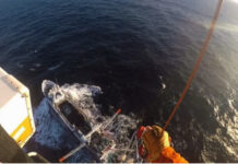EMERGENCIA EN EL MAR ARGENTINO: PREFECTURA AEROEVACUÓ A UN TRIPULANTE ENFERMO