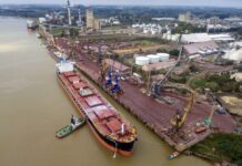 INVESTIGAN SI EL AGUA DE LASTRE DE LOS BUQUES DE ULTRAMAR CONTAMINA EL RÍO PARANÁ