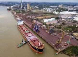 INVESTIGAN SI EL AGUA DE LASTRE DE LOS BUQUES DE ULTRAMAR CONTAMINA EL RÍO PARANÁ