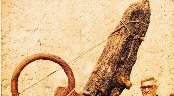 URUGUAY: MURIÓ EL BUSCADOR DE TESOROS RUBÉN COLLADO