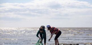 DÍA MUNDIAL DEL RECICLAJE: CONVOCAN A LIMPIAR LA COSTA DEL RÍO DE LA PLATA
