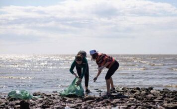VICENTE LÓPEZ REALIZA UNA JORNADA DE ACCIÓN CLIMÁTICA EN LA COSTA