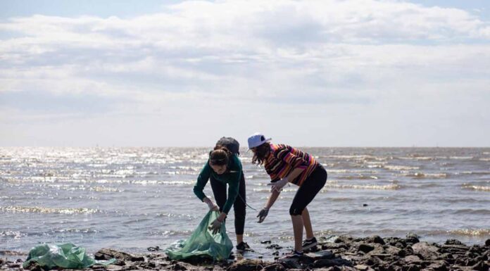 VICENTE LÓPEZ REALIZA UNA JORNADA DE ACCIÓN CLIMÁTICA EN LA COSTA