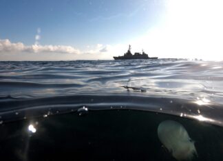 EUROPA – LAS ALTAS TEMPERATURAS DESENCADENAN UNA OLA DE CALOR MARINA EN EL MAR MEDITERRÁNEO