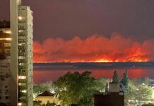 RESTAURAR LOS HUMEDALES DEL RÍO PARANÁ TRAS LOS INCENDIOS LLEVARÁ MÁS DE 300 AÑOS, SEGÚN LOS CIENTIFICOS