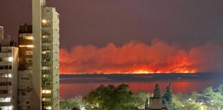 RESTAURAR LOS HUMEDALES DEL RÍO PARANÁ TRAS LOS INCENDIOS LLEVARÁ MÁS DE 300 AÑOS, SEGÚN LOS CIENTIFICOS