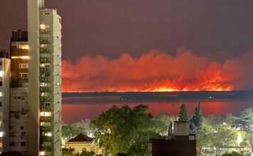 RESTAURAR LOS HUMEDALES DEL RÍO PARANÁ TRAS LOS INCENDIOS LLEVARÁ MÁS DE 300 AÑOS, SEGÚN LOS CIENTIFICOS