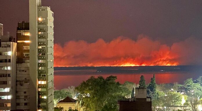 RESTAURAR LOS HUMEDALES DEL RÍO PARANÁ TRAS LOS INCENDIOS LLEVARÁ MÁS DE 300 AÑOS, SEGÚN LOS CIENTIFICOS
