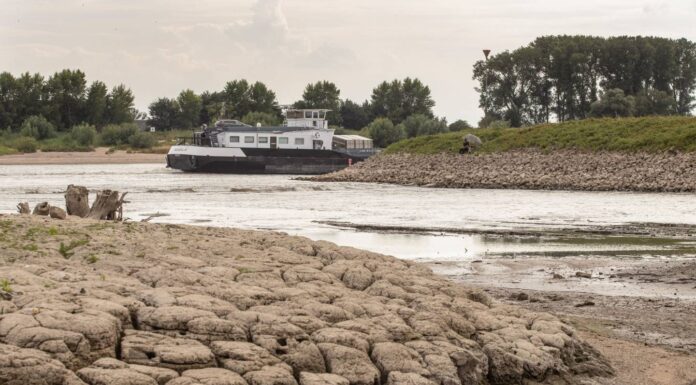 EL RÍO RIN ALCANZA NIVELES CRÍTICOS Y COMPLICA EL TRANSPORTE FLUVIAL EN EUROPA