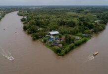 EL MUNICIPIO DE TIGRE CELEBRA EL DÍA MUNDIAL DEL AMBIENTE