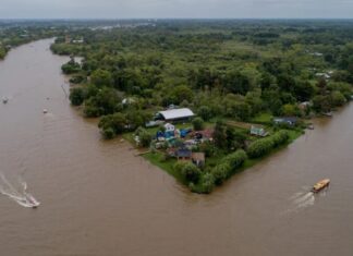 EL MUNICIPIO DE TIGRE CELEBRA EL DÍA MUNDIAL DEL AMBIENTE