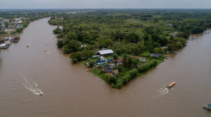 TIGRE: AVANZA LA CREACIÓN DE LA UNIVERSIDAD DEL DELTA