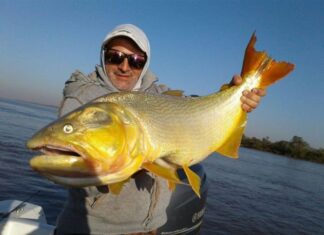 PASO DE LA PATRIA COLMADA DE TURISTAS POR LA “57º FIESTA NACIONAL DE LA PESCA DEL DORADO”