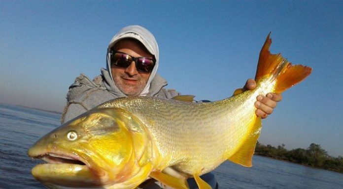 PASO DE LA PATRIA COLMADA DE TURISTAS POR LA “57º FIESTA NACIONAL DE LA PESCA DEL DORADO”