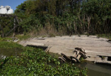 HALLAZGO EN EL PUERTO DE SANTA FE, ¿QUE ES ESE ANTIGUO BARCO DE MADERA QUE EMERGIÓ?