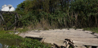 HALLAZGO EN EL PUERTO DE SANTA FE, ¿QUE ES ESE ANTIGUO BARCO DE MADERA QUE EMERGIÓ?
