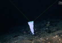 TRAS 26 AÑOS DE MISTERIO, DESCUBREN QUE ES LA GRAN FORMACIÓN OBSERVADA JUNTO A LOS RESTOS DEL TITANIC