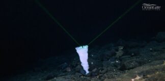 TRAS 26 AÑOS DE MISTERIO, DESCUBREN QUE ES LA GRAN FORMACIÓN OBSERVADA JUNTO A LOS RESTOS DEL TITANIC