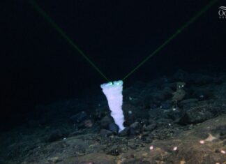 TRAS 26 AÑOS DE MISTERIO, DESCUBREN QUE ES LA GRAN FORMACIÓN OBSERVADA JUNTO A LOS RESTOS DEL TITANIC