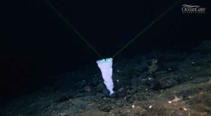 TRAS 26 AÑOS DE MISTERIO, DESCUBREN QUE ES LA GRAN FORMACIÓN OBSERVADA JUNTO A LOS RESTOS DEL TITANIC