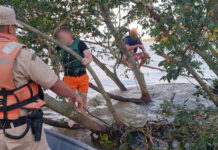 CORRIENTES – PREFECTURA RESCATÓ A DOS HOMBRES ATRAPADOS EN EL RÍO PARANÁ