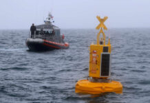 INSTALAN EN CHILE BOYA INTELIGENTE PARA EVITAR QUE LAS BALLENAS MUERAN AL COLISIONAR CON BARCOS