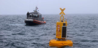 INSTALAN EN CHILE BOYA INTELIGENTE PARA EVITAR QUE LAS BALLENAS MUERAN AL COLISIONAR CON BARCOS