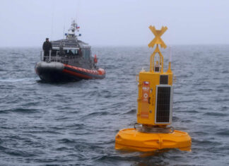 INSTALAN EN CHILE BOYA INTELIGENTE PARA EVITAR QUE LAS BALLENAS MUERAN AL COLISIONAR CON BARCOS