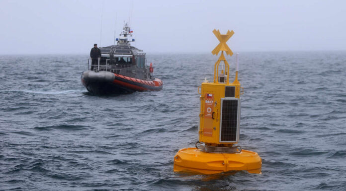 INSTALAN EN CHILE BOYA INTELIGENTE PARA EVITAR QUE LAS BALLENAS MUERAN AL COLISIONAR CON BARCOS
