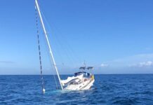 CIENTÍFICOS EXPLICAN POR QUÉ LAS ORCAS ESTÁN ATACANDO BARCOS