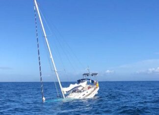 CIENTÍFICOS EXPLICAN POR QUÉ LAS ORCAS ESTÁN ATACANDO BARCOS