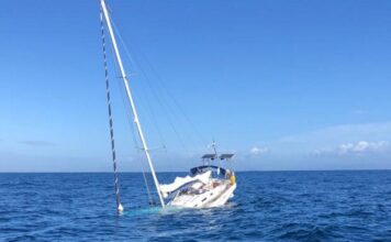 PORTUGAL – SE HUNDE UN VELERO DESPUÉS DE CHOCAR CON ORCAS