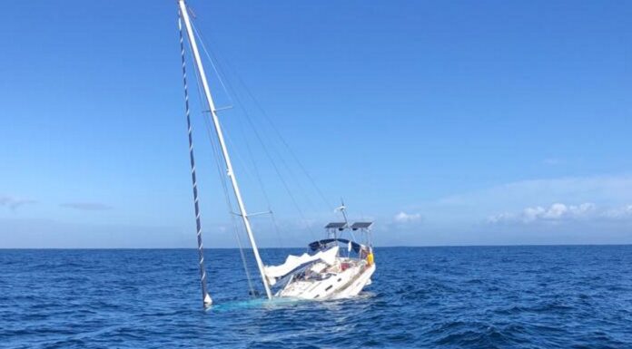 PORTUGAL – SE HUNDE UN VELERO DESPUÉS DE CHOCAR CON ORCAS