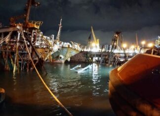 MONTEVIDEO – DIQUE HUNDIDO, GRÚAS CAÍDAS, EXPLOSIÓN Y TRES BARCOS AFECTADOS EN EL PUERTO (VIDEO)