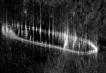 DESCUBREN UN BARCO MEDIEVAL QUE PODRÍA TENER HASTA 700 AÑOS HUNDIDO EN EL LAGO MAYOR DE NORUEGA