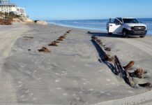 UN MISTERIOSO OBJETO APARECIDO EN UNA PLAYA DE EEUU ES UN VELERO DE HACE 200 AÑOS
