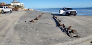 UN MISTERIOSO OBJETO APARECIDO EN UNA PLAYA DE EEUU ES UN VELERO DE HACE 200 AÑOS