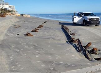 UN MISTERIOSO OBJETO APARECIDO EN UNA PLAYA DE EEUU ES UN VELERO DE HACE 200 AÑOS