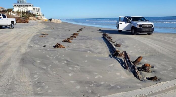 UN MISTERIOSO OBJETO APARECIDO EN UNA PLAYA DE EEUU ES UN VELERO DE HACE 200 AÑOS