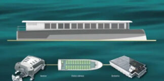 ¿CÓMO SERÁN LAS ECOLANCHAS? UNA ALTERNATIVA SUSTENTABLE PARA CIRCULAR EN EL DELTA