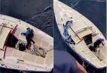 RESCATARON A DOS HOMBRES Y SU PERRA TRAS SOBREVIVIR 10 DÍAS A LA DERIVA EN EL OCÉANO ATLÁNTICO